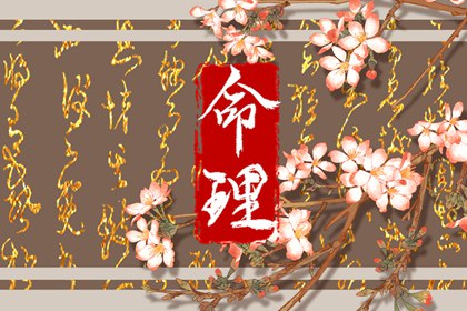 起姓名免费取名_丰起名男孩名字_八卦取名